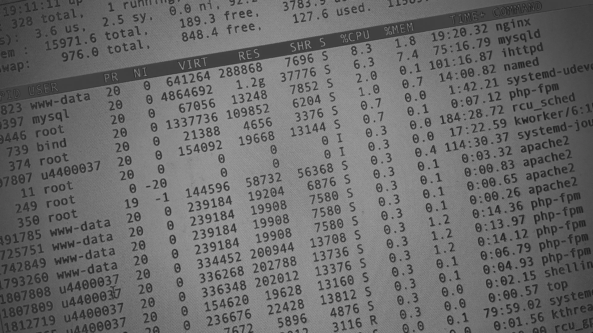 Настройка сервера в Горняке