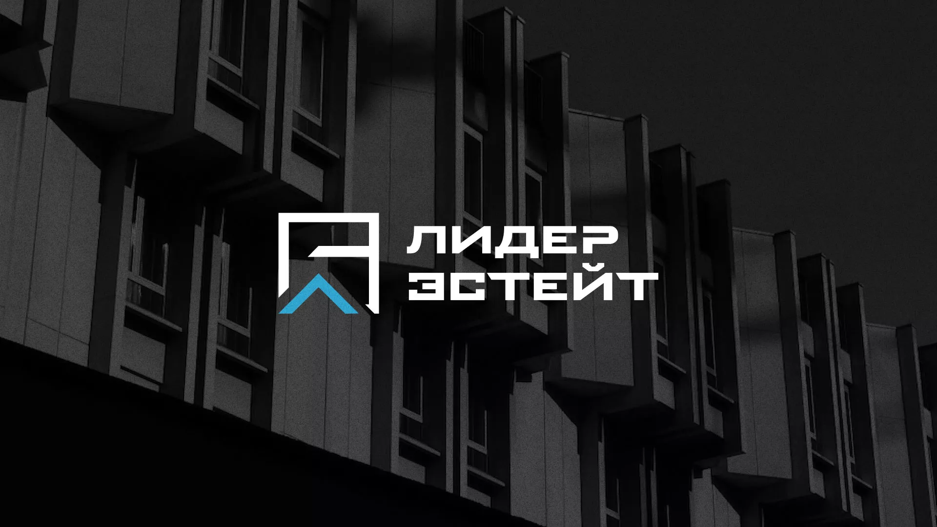 Разработка логотипа агентства недвижимости «Лидер Эстейт» в Горняке